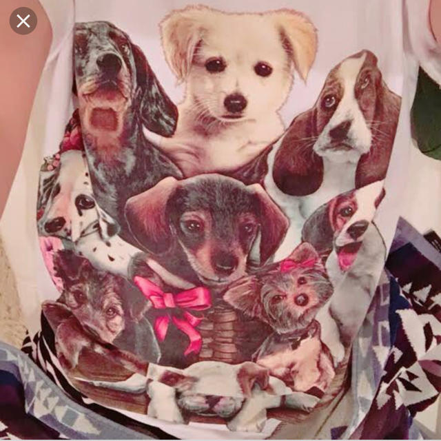 WALL(ウォール)のaiko着用犬まみれTシャツ レディースのトップス(Tシャツ(半袖/袖なし))の商品写真