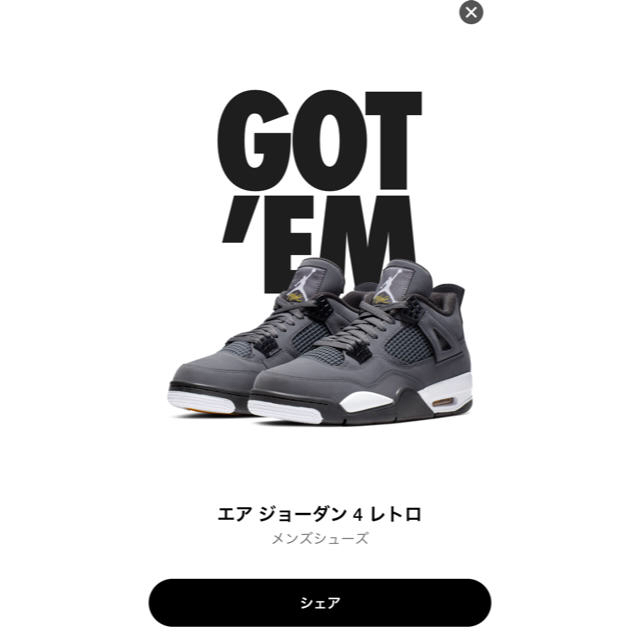 Nike Air Jordan 4 Retro Cool Grey 29 cm