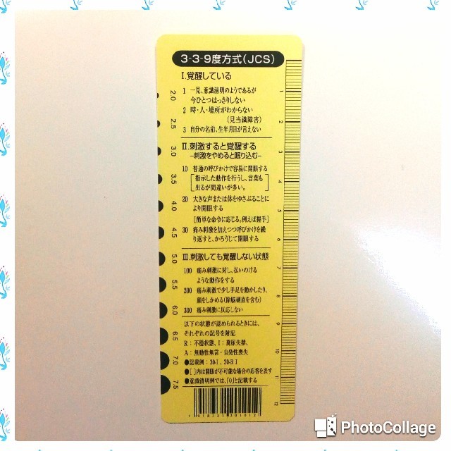 専門店 新品 瞳孔計測表 意識レベルスケール表 econet.bi