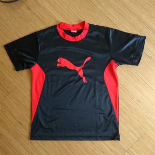 プーマ(PUMA)の150㎝  PUMA Tｼﾔﾂ(Tシャツ/カットソー)