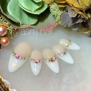 ネイルチップ ジェルネイル asmnail