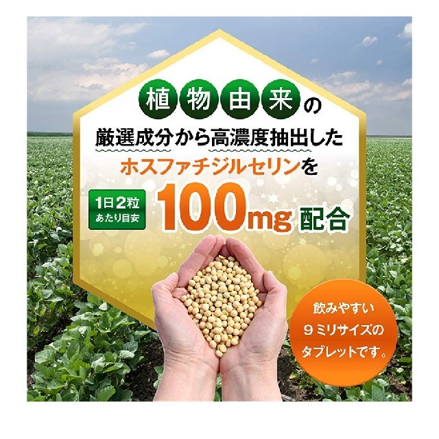 OneLife ホスファチジルセリン PS 100mg サプリメント（30日分） 食品/飲料/酒の健康食品(その他)の商品写真