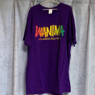 ワニマ(WANIMA)のWANIMA JUICEUP tour ファイナル Tシャツ Lサイズ(ミュージシャン)