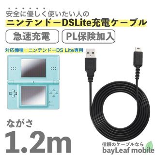 ニンテンドーDS(ニンテンドーDS)のDSLITE充電器（2個）(バッテリー/充電器)