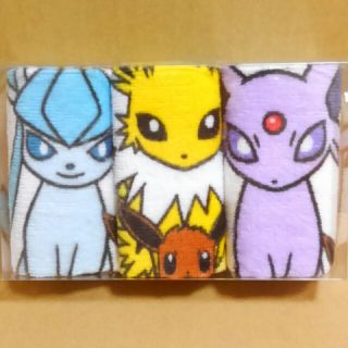 ポケモンセンター イーブイコレクション プチタオル ３枚セット