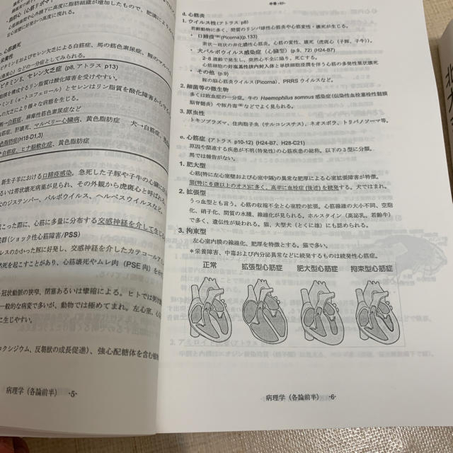獣医師国家試験 北大 まとめ - 本 獣医師国家試験 北大 まとめ - 本