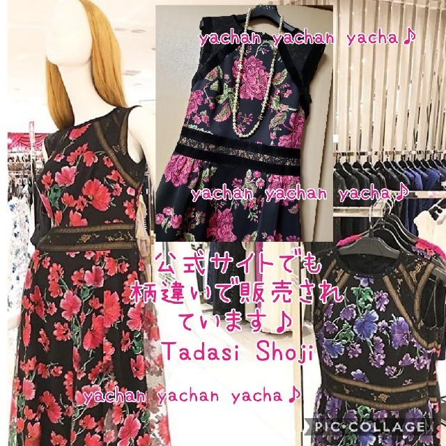 TADASHI SHOJI(タダシショウジ)のサイズ4❤️綺麗　TADASHISHOUJI、タダシショージドレス ワンピース レディースのワンピース(ひざ丈ワンピース)の商品写真