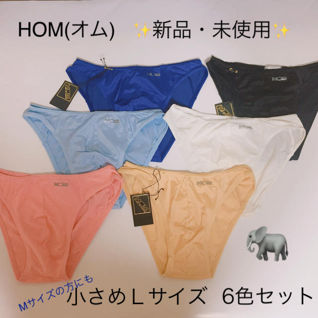 ●新品・未使用●HOM(オム)ビキニ 小さめLサイズ6枚セット(26)