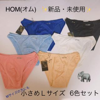 オム(HOM)の●新品・未使用●HOM(オム)ビキニ 小さめLサイズ6枚セット(26)(その他)