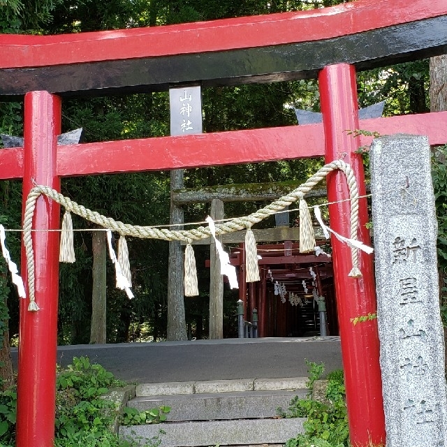 新屋山神社 お金がたまる小判お守りの通販 By 華 ラクマ