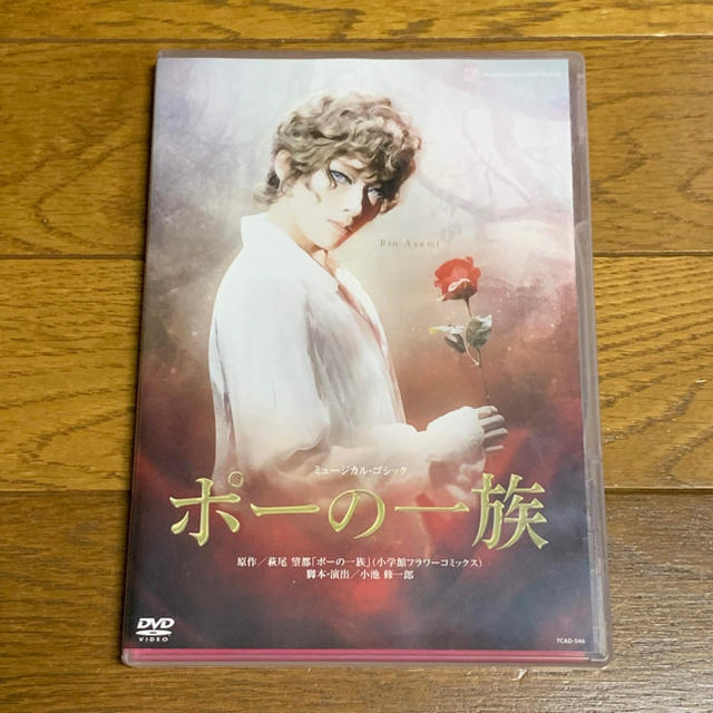 【専用】宝塚歌劇団 花組 ミュージカル・ゴシック 「ポーの一族」 DVD