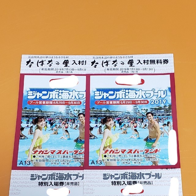 ナガシマジャンボ海水プール ナガシマスパーランド 招待券 - 施設利用券 ナガシマジャンボ海水プール ナガシマスパーランド 招待券 - 施設利用券