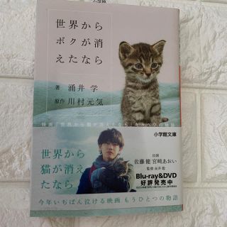 ショウガクカン(小学館)の世界からボクが消えたなら 文庫本(文学/小説)