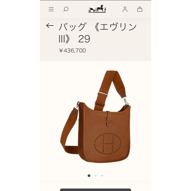 Hermes(エルメス)のHERMESエヴリンPMサイズ☆ミニ香水付き レディースのバッグ(ショルダーバッグ)の商品写真