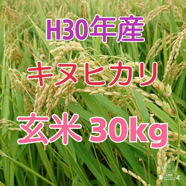 24Kg2018年産 無農薬栽培米(A803)