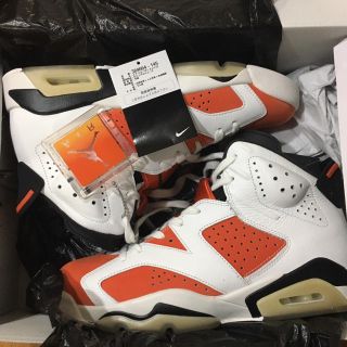 ナイキ(NIKE)のNike Air Jordan 6 gatorade(スニーカー)