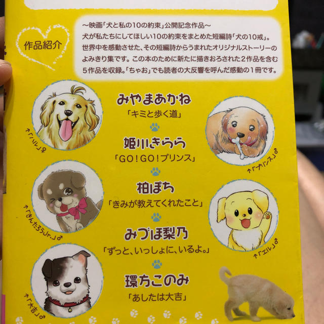 小学館 キミと歩く道 犬と私の10の約束 の通販 By ティラミス S Shop ショウガクカンならラクマ 小学館 キミと歩く道 犬と私の10の約束 の通販 By ティラミス S Shop ショウガクカンならラクマ
