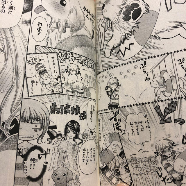小学館 キミと歩く道 犬と私の10の約束 の通販 By ティラミス S Shop ショウガクカンならラクマ 小学館 キミと歩く道 犬と私の10の約束 の通販 By ティラミス S Shop ショウガクカンならラクマ