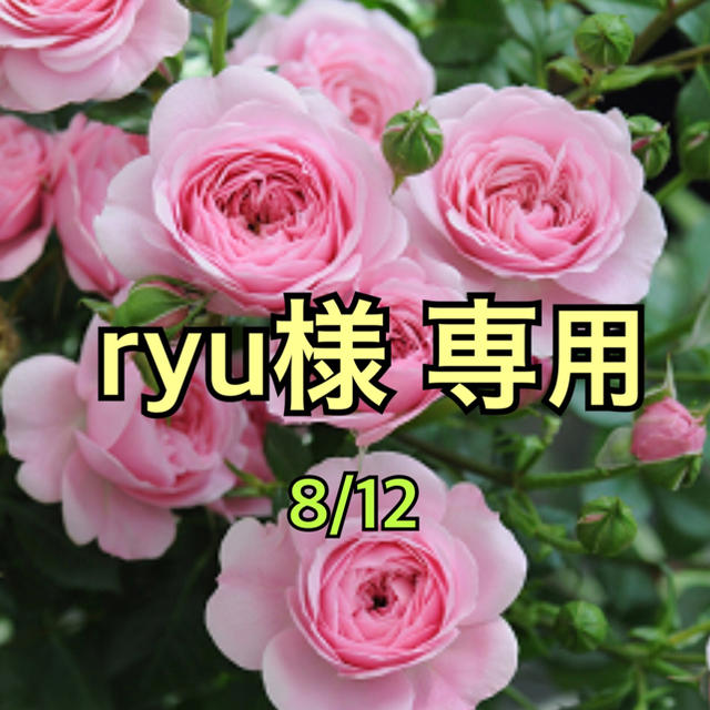 独特な ryu様 専用 アイドルグッズ - sanmartinbakery.us