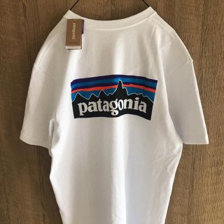 パタゴニア(patagonia)の大人気 パタゴニア プリントTシャツ 新品未使用です(Tシャツ/カットソー(半袖/袖なし))