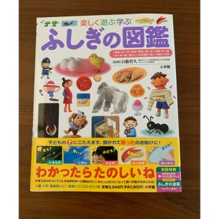 ショウガクカン(小学館)の小学館の子ども図鑑  プレNEO ふしぎの図鑑  (語学/参考書)