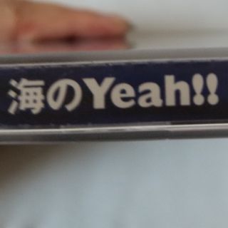 サザンオールスターズ　海のYeah!!(ポップス/ロック(邦楽))