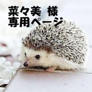 「菜々美様　専用ページ」(エクササイズ用品)