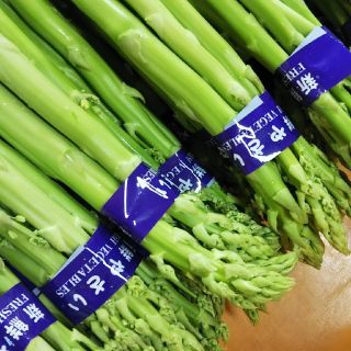 広島県産 朝採れアスパラガス 規格外品 500グラム(野菜)