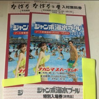 ナガシマスパーランドジャンボ海水プール入場券2枚セット なばなの里入村無料券付き(遊園地/テーマパーク)