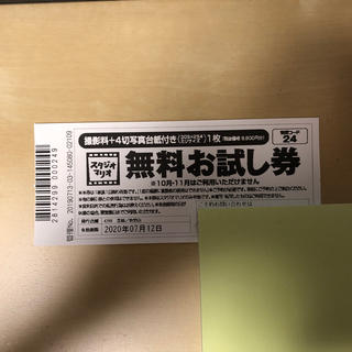 キタムラ(Kitamura)のスタジオ マリオ無料お試し券(その他)