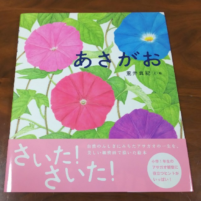 金の星社 絵本 あさがお の通販 By プーさん S Shop キンノホシシャならラクマ 金の星社 絵本 あさがお の通販 By プーさん S Shop キンノホシシャならラクマ