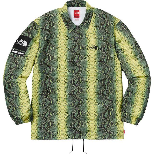 Supreme The North Face Snakeskin Taped S
