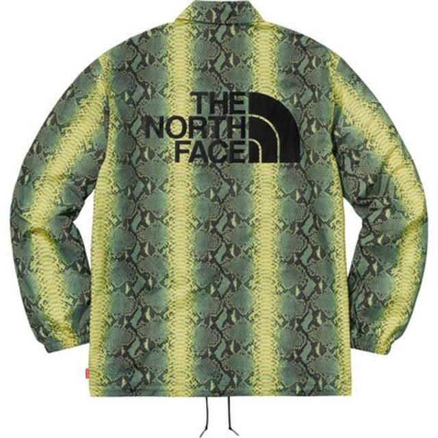 Supreme The North Face Snakeskin Taped S