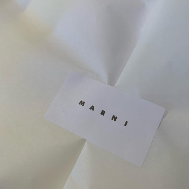 Marni(マルニ)の専用☆マルニMarni☆ピクニックバッグ☆即完売カラー レディースのバッグ(かごバッグ/ストローバッグ)の商品写真