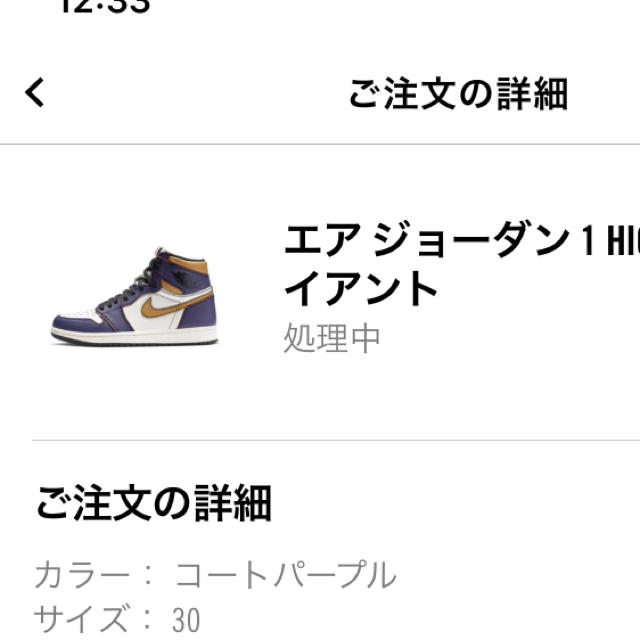 Jordan 1 SB LA TO Chicago シカゴ