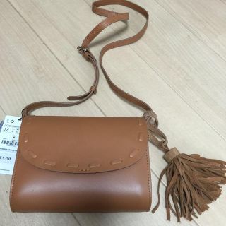 ザラ(ZARA)のZARAフリンジバッグ 新品✨(ショルダーバッグ)