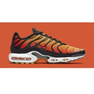 ナイキ(NIKE)の希少サイズ 29.5cm NIKE Air Max Plus OG TN (スニーカー)