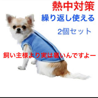 【マルカン】ゴン太の冷え冷えベストS／2個セット(犬)