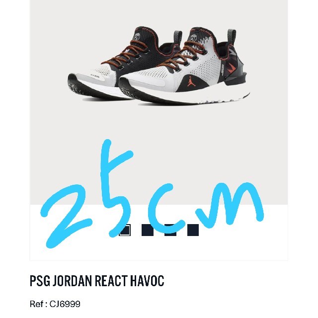 PSG JORDAN REACT HAVOC NIKE ジョーダン スニーカー