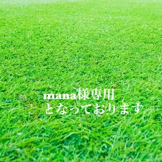 mana様専用となっております(バスケット/かご)