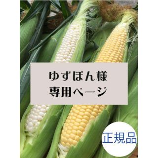 【ゆずぽん様専用】とうもろこし正規品ミックス20本・M恵味ゴールド20本　(野菜)