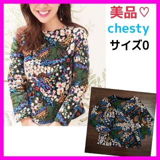 チェスティ(Chesty)の美品♡チェスティ 0 レース 刺繍 ブラック トップス(カットソー(長袖/七分))