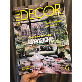 エル(ELLE)のELLE DECOR 2019年6月号(住まい/暮らし/子育て)