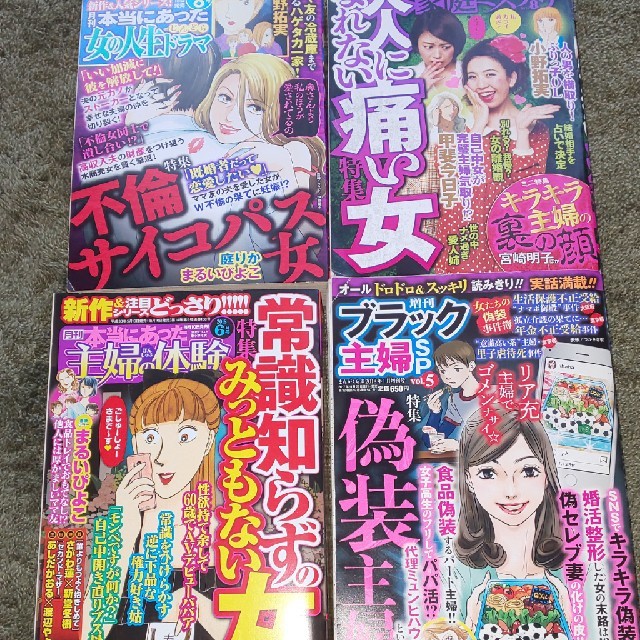 レディースコミック　4冊セット エンタメ/ホビーの漫画(女性漫画)の商品写真