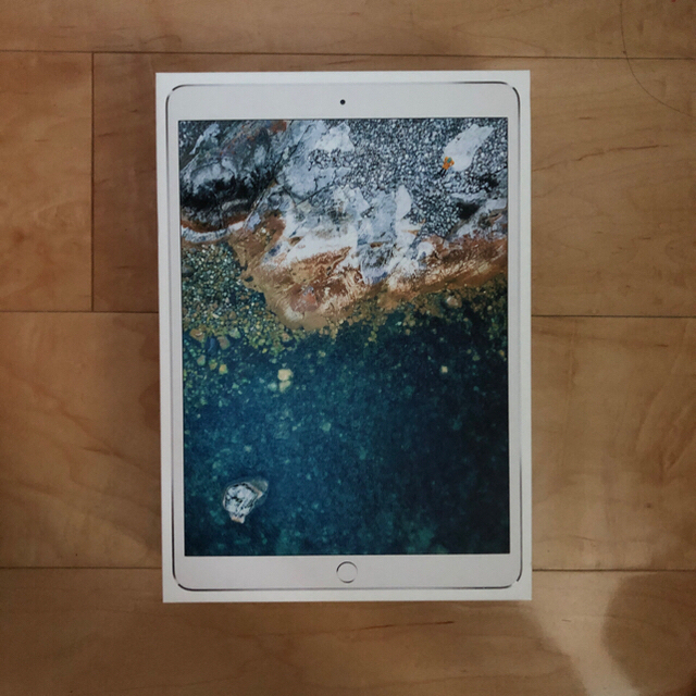 iPad pro 10.5 256GB wifi cellular simフリースマホ/家電/カメラ