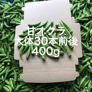 鹿児島産甘オクラ箱込み400g^_^(野菜)