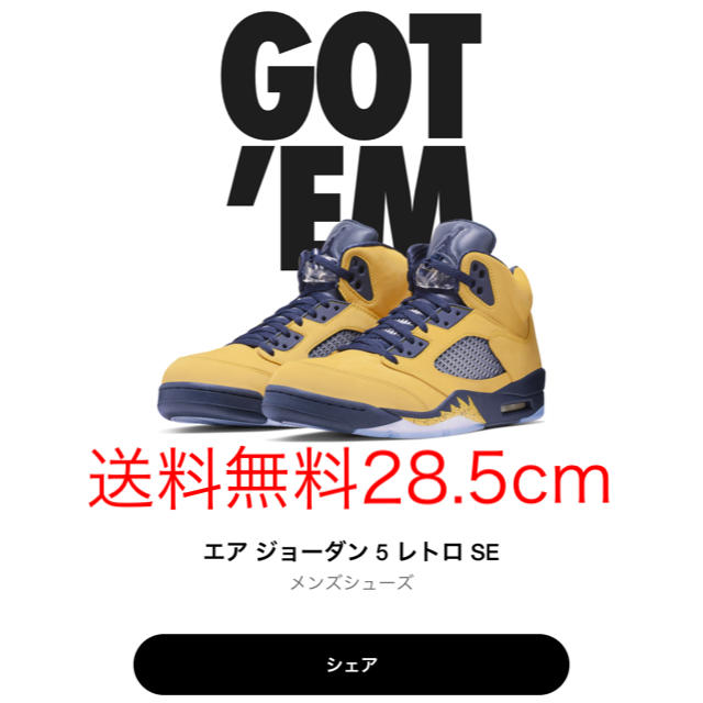 NIKE AIR JORDAN 5 AMARILLO ミシガン