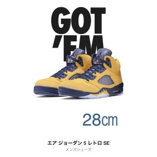 ナイキ(NIKE)のエアジョーダン5 ミシガン(スニーカー)