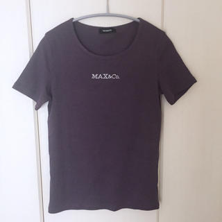 マックスアンドコー(Max & Co.)のにゃんにゃん様☆MAX&Co.☆レディースTシャツ(Tシャツ(半袖/袖なし))