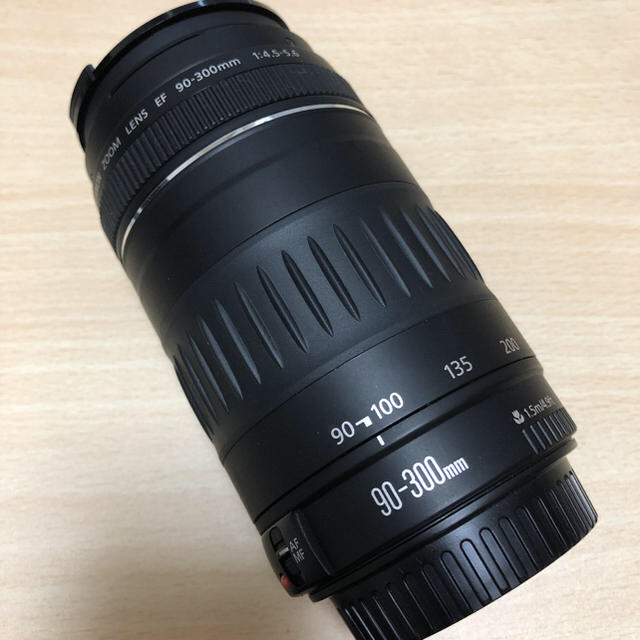 CANON ZOOM LENS EF90-300mm 1:4-5.6